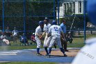 Baseball vs Babson  Wheaton College Baseball vs Babson during Championship game of the NEWMAC Championship hosted by Wheaton. - (Photo by Keith Nordstrom) : Wheaton, baseball, NEWMAC